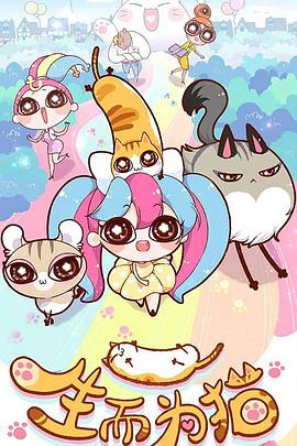 赣州seo自动优化软件